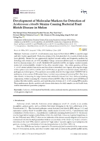 Development of Molecular Markers for Detection of Acidovorax Citrulli Strains Causing Bacterial Fruit Blotch Disease in Melon