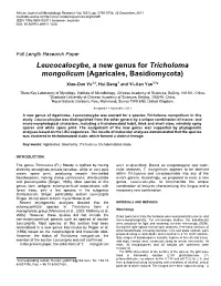 Full-Text (PDF)