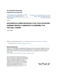 Mathematical Modeling Reveals That G2/M Checkpoint Override Creates a Therapeutic Vulnerability in Tsc2-Null Tumors