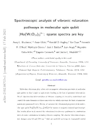 Spectroscopic Analysis of Vibronic Relaxation Pathways in Molecular Spin Qubit