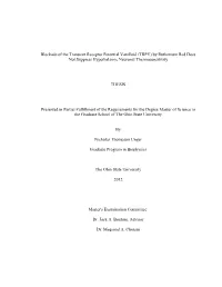 By Ruthenium Red Does Not Suppress Hypothalamic Neuronal Thermosensitivity