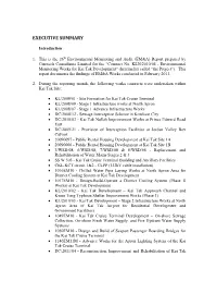 Executive Summary