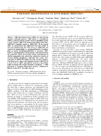 Functional Characterization of Novel Human Arfgap3provided by Elsevier - Publisher Connector