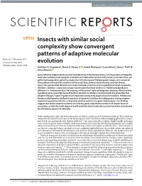 Insects with Similar Social Complexity Show Convergent Patterns Of