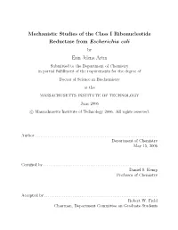 Mechanistic Studies of the Class I Ribonucleotide Reductase From