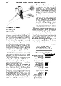 Common Waxbills Are Regarded As Resident Throughout Their Range (Maclean 1993B), Wandering Only in Times of Severe Drought (Ginn Et Al