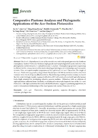 Comparative Plastome Analyses and Phylogenetic Applications of the Acer Section Platanoidea