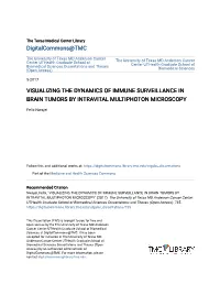 Visualizing the Dynamics of Immune Surveillance in Brain Tumors by Intravital Multiphoton Microscopy