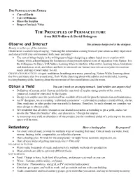 Observe and Replicate Natural Patterns