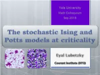 The Stochastic Ising and Potts Models at Criticality