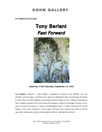 Tony Berlant Fast Forward