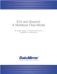 A Multilevel Flow Model