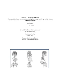 Burning a Discovery of Grace History and Fiction As Abstracting, Introducing, Narrating, Multiplying, and Identifying Postmodern Canada