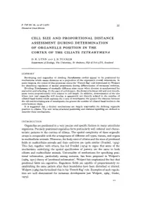 Cell Size and Proportional Distance Assessment During Determination of Organelle Position in the Cortex of the Ciliate Tetrahymena