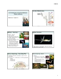 CH33 Molluscs.Pptx