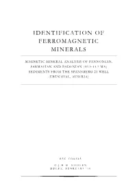 Identification of Ferromagnetic Minerals