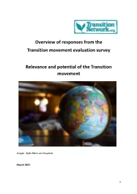 Relevance and Potential of the Transition Movement