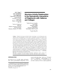 Structure-Activity Relationships in the Hydrophobic Interactions of Polyphenols with Cellulose and Collagen