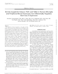 Borrelia Burgdorferi Induces TLR1 and TLR2 in Human Microglia and Peripheral Blood Monocytes but Differentially Regulates HLA-Class II Expression