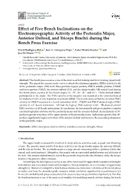 Effect of Five Bench Inclinations on the Electromyographic Activity of The