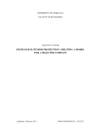 Exchange Rate Risk Protection: Creating a Model for a Selected Company