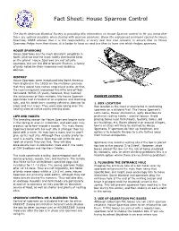 House Sparrow Control