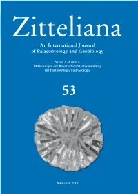 Pliensbachian Nannofossils from Kachchh: Implications on the Earliest Jurassic Transgressive Event on the Western Indian Margin