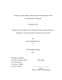 Studies of the Genetic Encoding of Pyrrolysine From