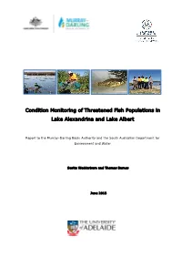 Condition Monitoring of Threatened Fish Populations in Lake Alexandrina and Lake Albert