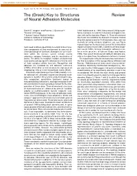 Greek) Key to Structures Review of Neural Adhesion Molecules