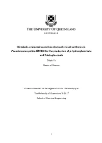 Metabolic Engineering and Bio-Electrochemical Synthesis in Pseudomonas Putida KT2440 for the Production of P-Hydroxybenzoate and 2-Ketogluconate