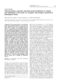 Characterization, Expression and Chromosomal Localization of a Human Gene Homologous to the Mouse Lsc Oncogene, with Strongest Expression in Hematopoetic Tissues