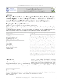 Interspecific Variation and Phylogenic Architecture of Pinus Densata and the Hybrid of Pinus Tabuliformis×Pinus Yunnanensis In