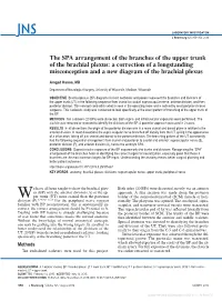 The SPA Arrangement of the Branches of the Upper Trunk of the Brachial Plexus: a Correction of a Longstanding Misconception and a New Diagram of the Brachial Plexus