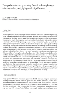 Decapod Crustacean Grooming: Functional Morphology, Adaptive Value, and Phylogenetic Significance