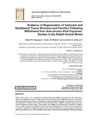 Evidence of Regeneration of Testicular and Epididymal Tissue Structure and Function Following Withdrawal from Sub-Chronic Khat E