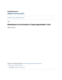 Mechanisms for the Evolution of Superorganismality in Ants