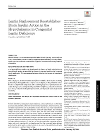 Leptin Replacement Reestablishes Brain Insulin Action in The