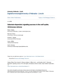 Substrate-Dependent Signaling Success in the Wolf Spider, Schizocosa Retrorsa