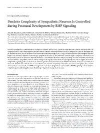 Dendrite Complexity of Sympathetic Neurons Is Controlled During Postnatal Development by BMP Signaling