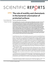 The Role of Motility and Chemotaxis in the Bacterial Colonization Of