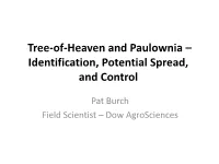 Tree-Of-Heaven and Paulownia – ID, Control and Potential Spread