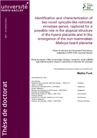 Identification and Characterization of Two Novel Syncytin-Like Retroviral Envelope Genes, Captured for a Possible Role in the At