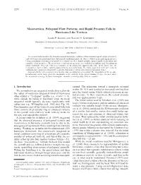 Mesovortices, Polygonal Flow Patterns, and Rapid Pressure Falls in Hurricane-Like Vortices