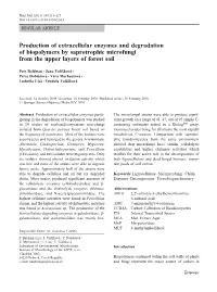 Production of Extracellular Enzymes and Degradation of Biopolymers by Saprotrophic Microfungi from the Upper Layers of Forest Soil