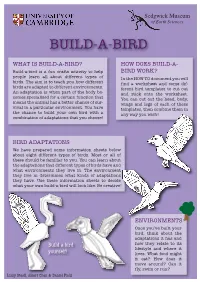Build-A-Bird