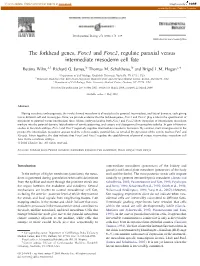 The Forkhead Genes, Foxc1 and Foxc2, Regulate Paraxial Versus Intermediate Mesoderm Cell Fate