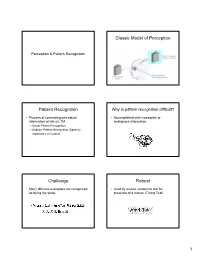 Classic Model of Perception Pattern Recognition Challenge Robust