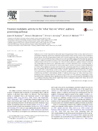 'What' but Not 'Where' Auditory Processing Pathway