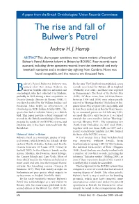 The Rise and Fall of Bulwer's Petrel